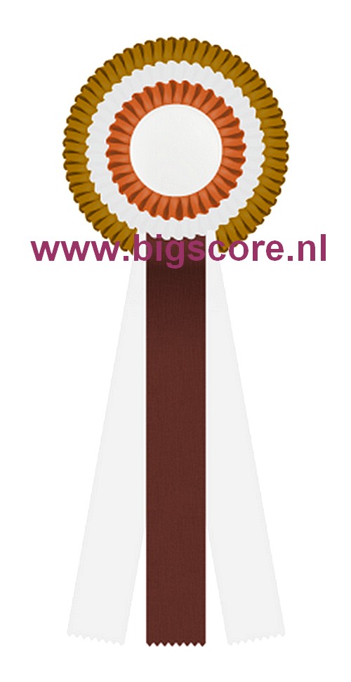 R 03 multi 3-Ringsrozet Ø 13 L: 31 cm Blanco met optie Full-Colour 50 mm afslag